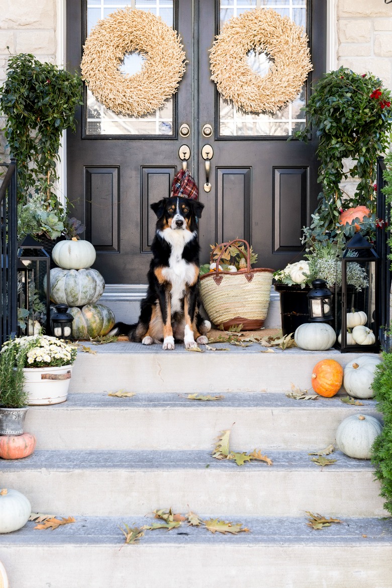 fall-front-porch-craftberry-bush