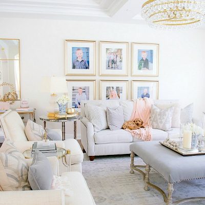 Meet Chloe plus Puppy Furniture + Essentials you will Love