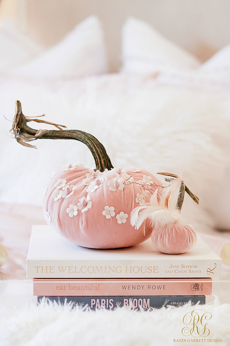 blush velvet pumpkins 
