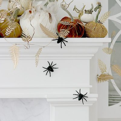 Randi Garrett Design - Celebrating Interior Design