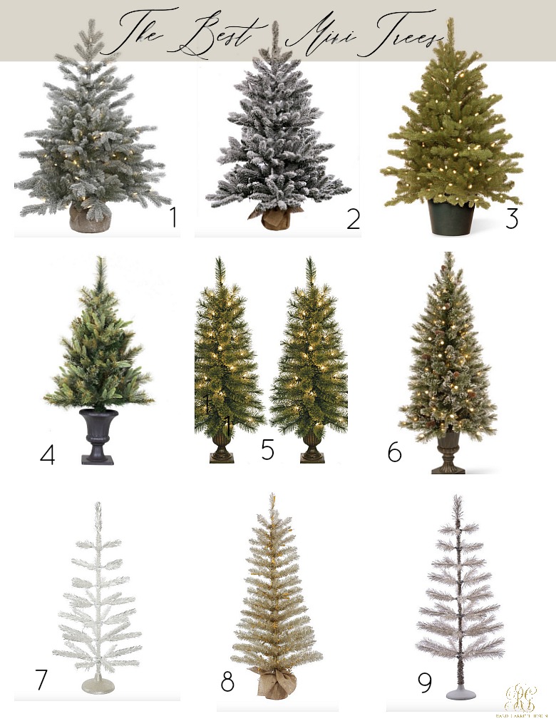 The Best Christmas Trees for Every Budget + Style
