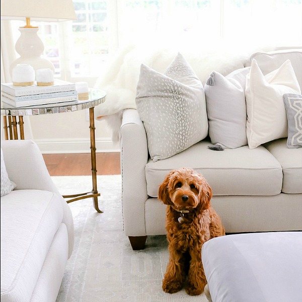 How to Keep A White Sofa Looking (Almost) New, Even With Pets