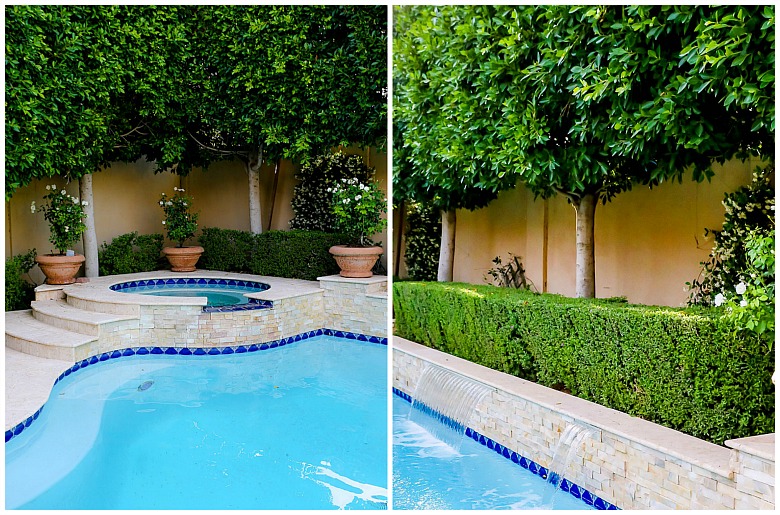 lush green backyard