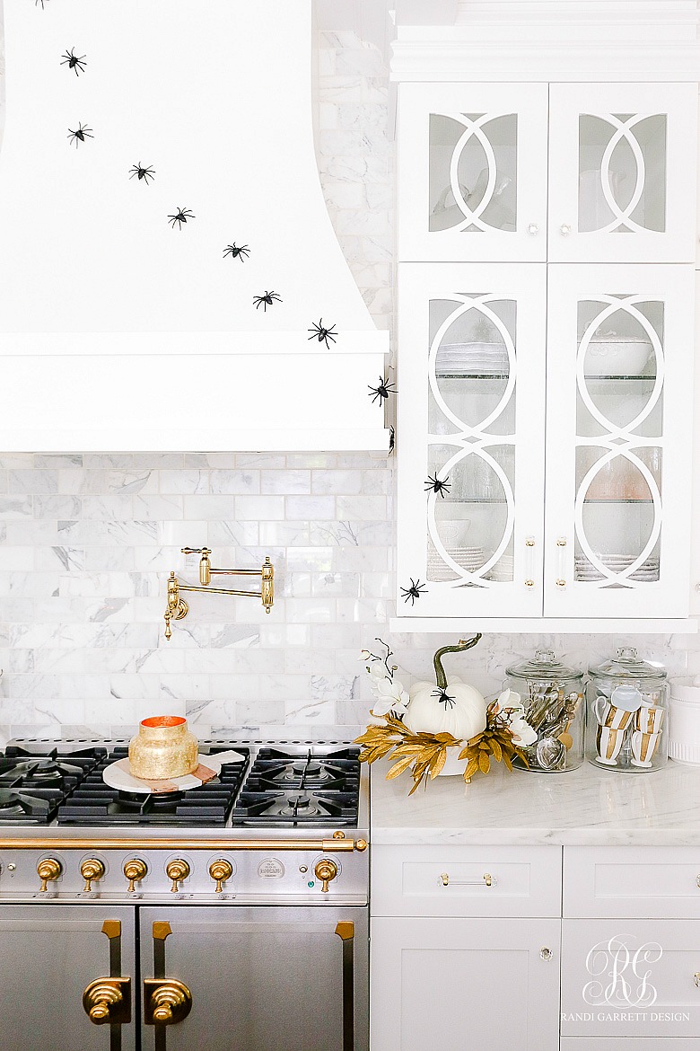 white kitchen spiders climbing walls