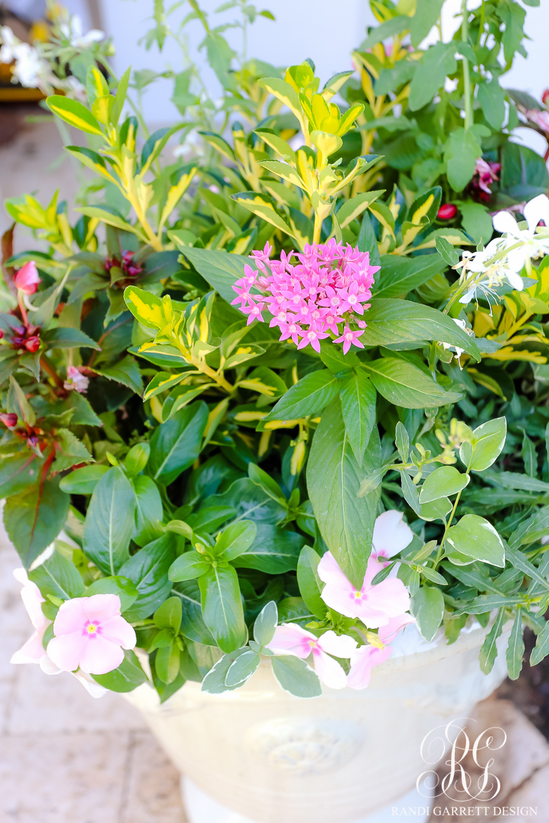 Pretty Spring Planters