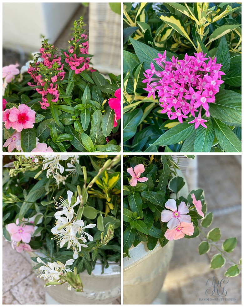 Pretty Spring Planters