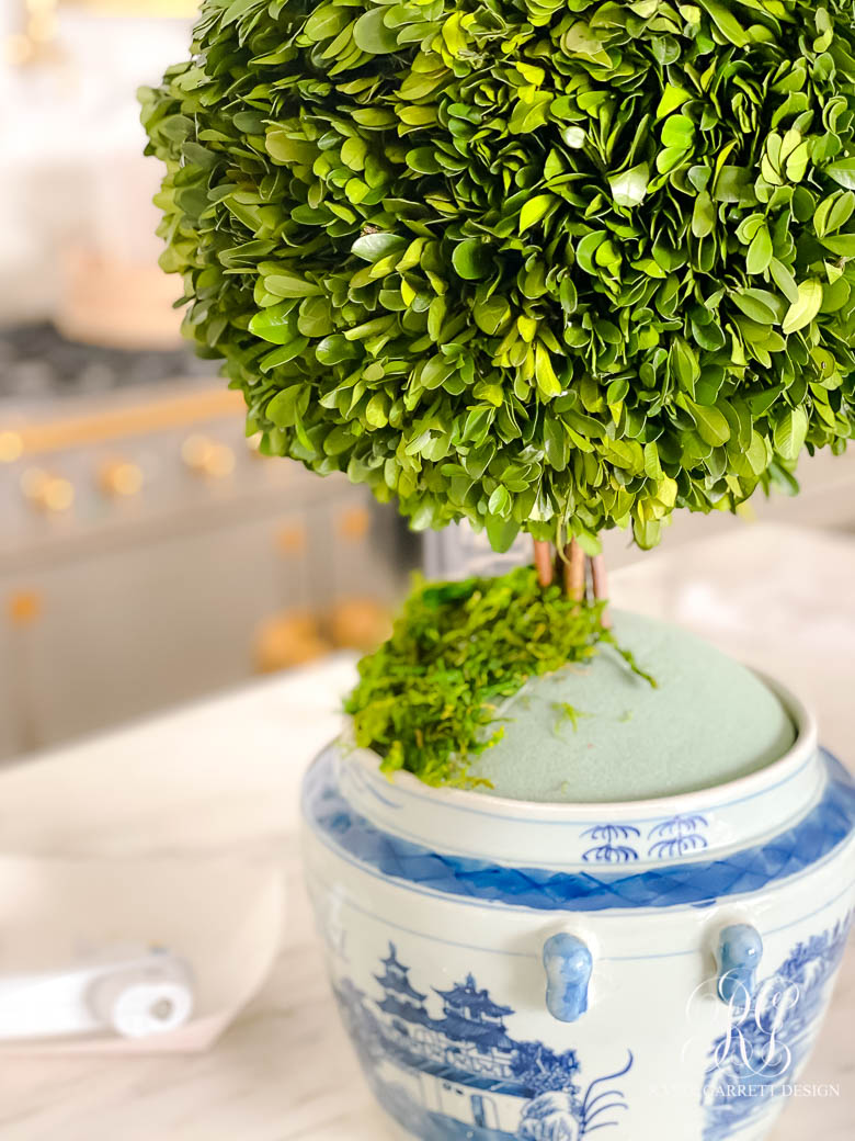 Preserved Boxwood Ginger Jar Topiary Tutorial