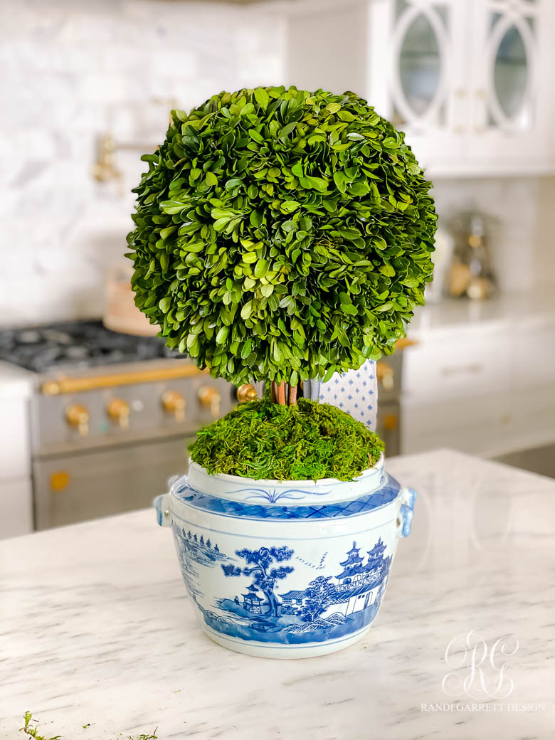 Preserved Boxwood Ginger Jar Topiary Tutorial