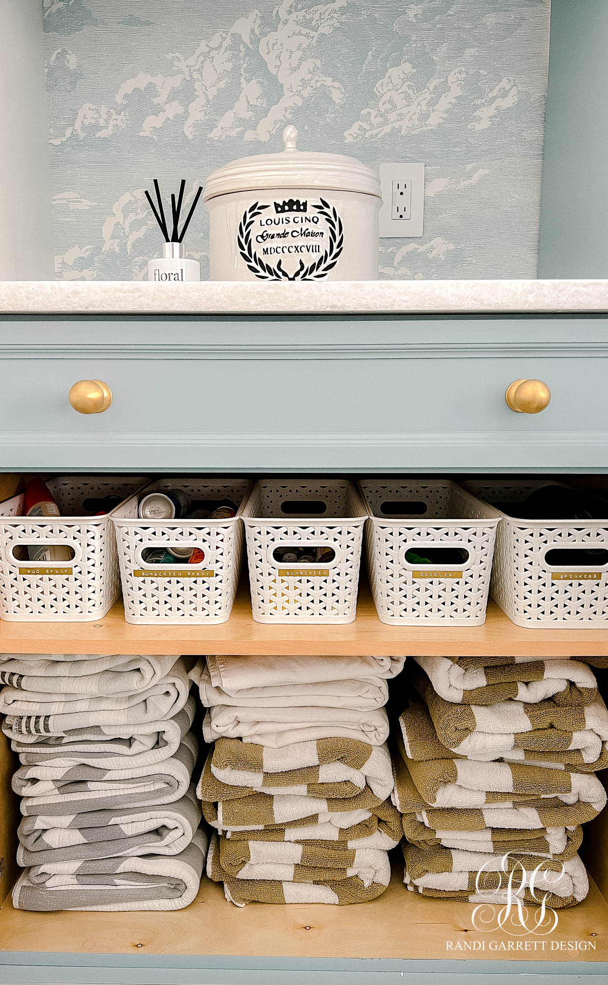 Spice Cabinet Organization Ideas - Randi Garrett Design