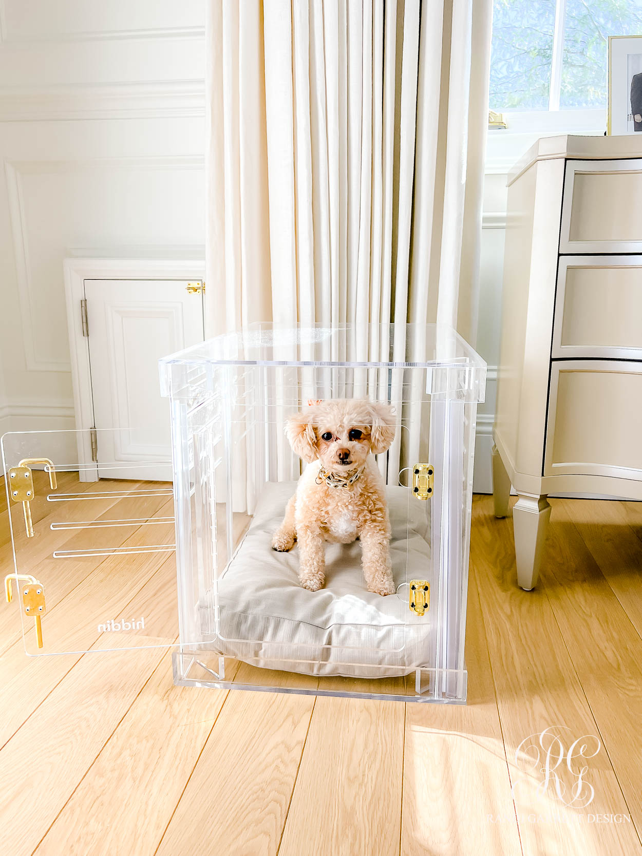 Designer Pet Products for your Home acrylic dog crate