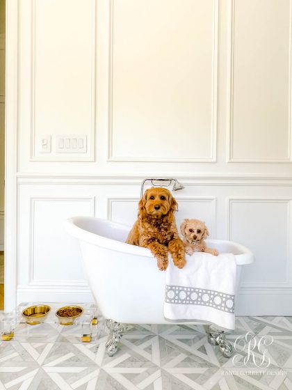 Luxe Pet Products That Blend Style & Function