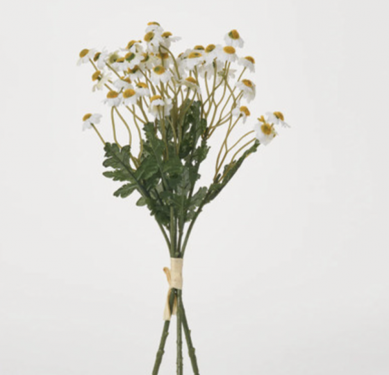 Chamomile Bunch